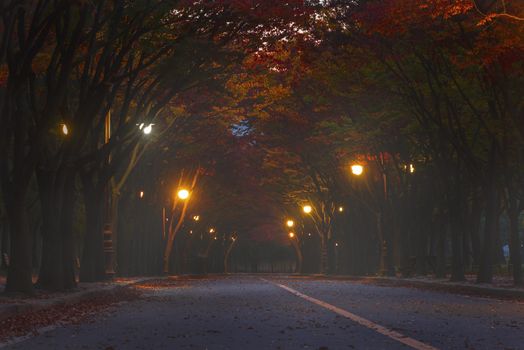 Autumn in Incheon Incheon Park South Korea