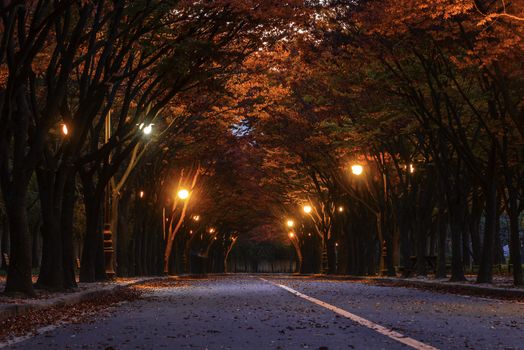 Autumn in Incheon Incheon Park South Korea