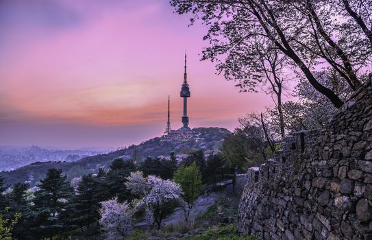 Twilight Seoul Tower in Spring at south korea