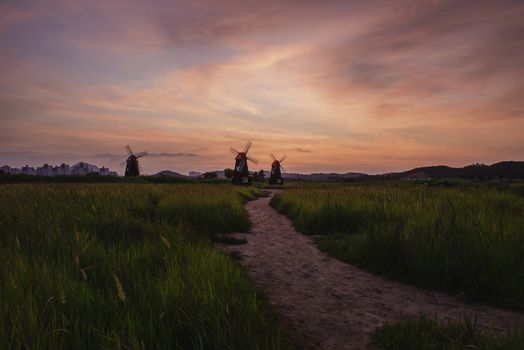 Selective focus Field of grass and blurred of traditional dutch old wooden windmill in vintage color;