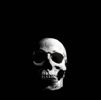 Photo of a skull on a black background