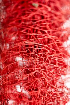 Red flower strange tropical blossom fruit macro background fifty megapixels