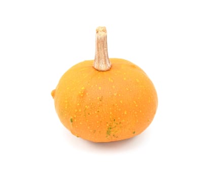 Round ornamental gourd with bright orange skin for autumn decoration, on a white background