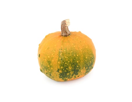 Ornamental gourd ripening from dark green to orange, on a white background