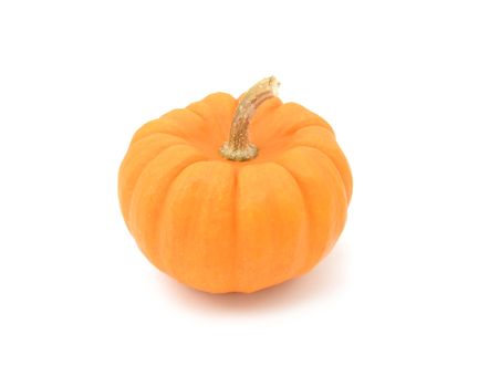 Small Jack Be Little pumpkin with smooth orange skin, on a white background
