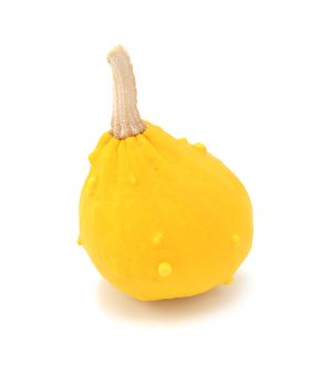 Teardrop-shaped decorative ornamental gourd with yellow skin, on a white background