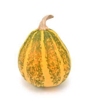 Ripening green and yellow ornamental gourd, turning orange, on a white background