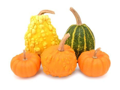 Five decorative gourds with smooth and warted skin - yellow, green and orange squashes, on a white background