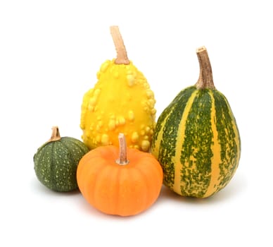 Four green, orange and yellow ornamental gourds for seasonal decoration, on a white background