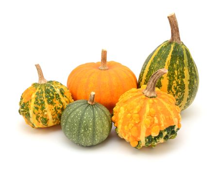 Group of decorative gourds with orange and green markings for fall decoration, on a white background