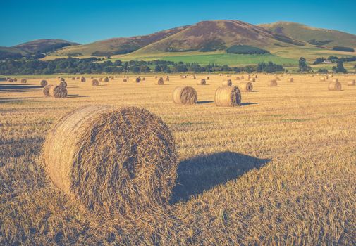 UK Farming Image Of A Round Bale Of Straw On A Scottish Farm