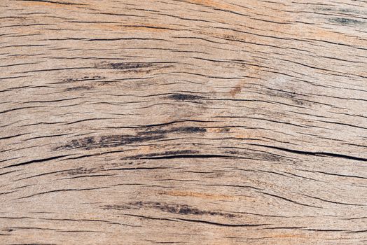 Old wood board, copy space wooden texture pattern background