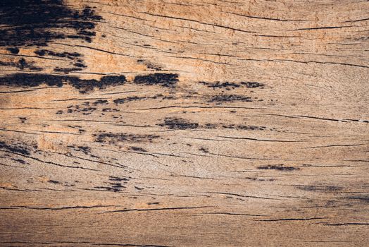 Old wood board, copy space wooden texture pattern background