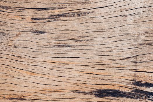 Old wood board, copy space wooden texture pattern background
