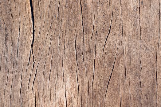 Old wood board, copy space wooden texture pattern background