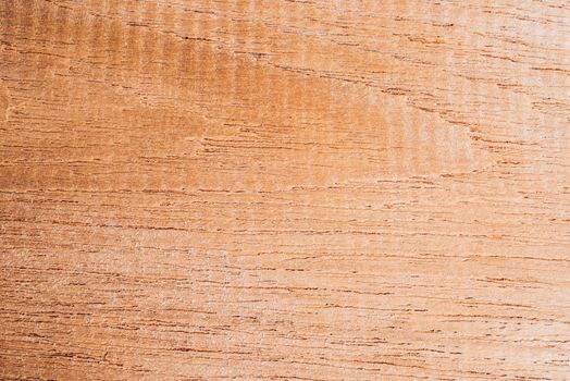 Old wood board, copy space wooden texture pattern background