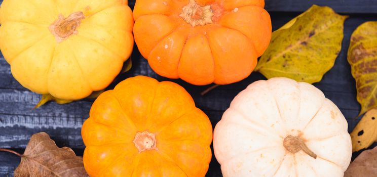 Fall Thanksgiving and Halloween pumpkins and dry leaves on wooden background, top view shot