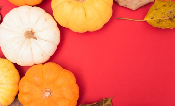 Festive autumn, Halloween and Thanksgiving day pumpkins and leaves on red background with copy space for use
