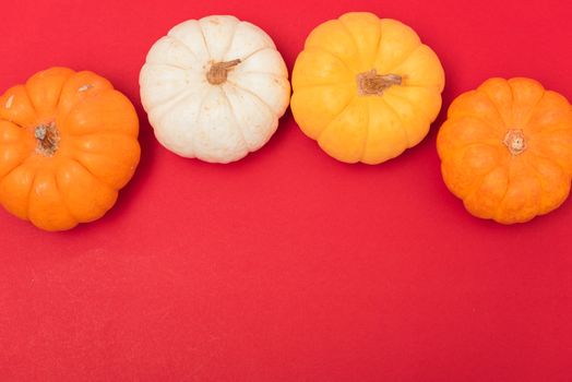 Halloween and Thanksgiving day pumpkins and leaves on red background with copy space for use