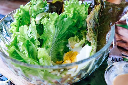 Close up of a vegetable salad with egg