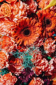 image of Colorful flowers background.