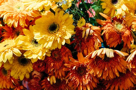 image of Colorful flowers background.