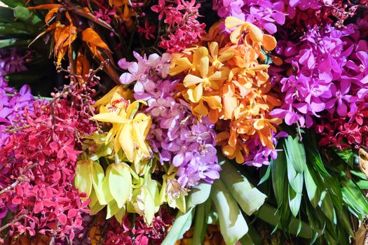 image of Colorful flowers background.