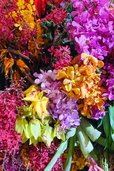 image of Colorful flowers background.