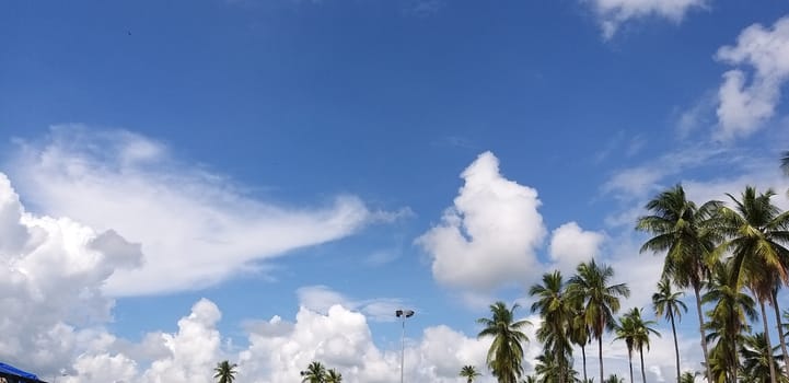 a study of skyscape in summer