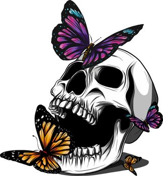 Hand drawing a bone skeleton, anatomical drawing of pelvic bone man, print for Halloween,butterflies fly