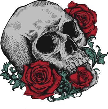 A skull with roses on white background