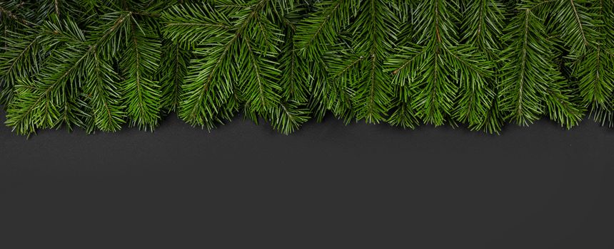 Christmas border arranged with fresh fir branches and pine cone on black paper background , copy space for text