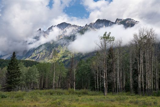 Panoramic image of the landscape along the Bow Valley Parkway, Banff National Park, Alberta, Canada