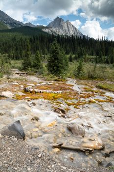 Landscape close to Bow Valley Parkway, Banff National Park, Alberta, Canada