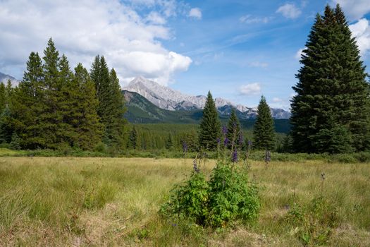 Landscape close to Bow Valley Parkway, Banff National Park, Alberta, Canada