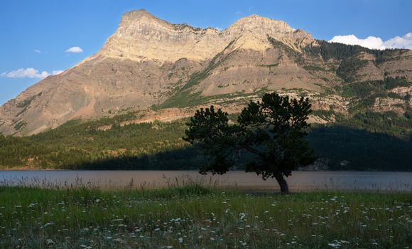 Panoramic image of the Waterton Lake at sunset, Waterton Lakes National Park, Alberta, Canada