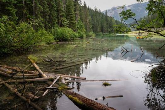 Panoramic image of a tranquil lake scenery within the Kootenay National Park, British Columbia, Canada