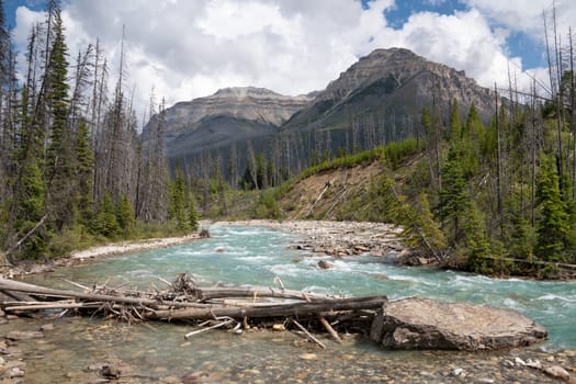 Panoramic image of a tranquil river scenery within the Kootenay National Park, British Columbia, Canada