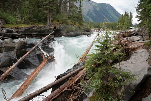 Panoramic image of the Numa Falls within the Kootenay National Park, British Columbia, Canada
