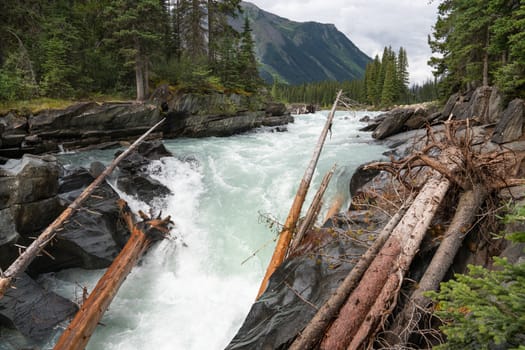 Panoramic image of the Numa Falls within the Kootenay National Park, British Columbia, Canada