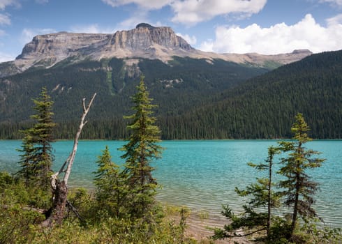 Panoramic image of Emerald Lake, beautiful landscape of Yoho National Park, British Columbia, Canada
