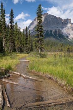 Landscape around Emerald Lake, Yoho National Park, British Columbia, Canada