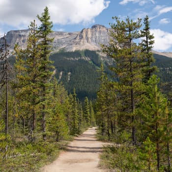 Hiking trail around Emerald Lake, Yoho National Park, British Columbia, Canada