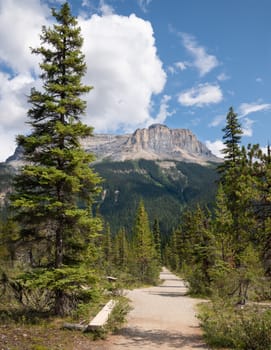 Hiking trail around Emerald Lake, Yoho National Park, British Columbia, Canada