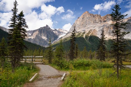 Hiking trail around Emerald Lake, Yoho National Park, British Columbia, Canada