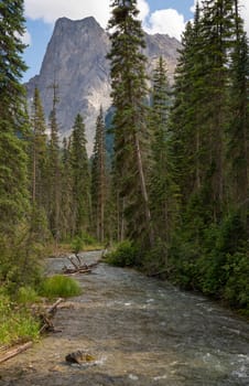 Landscape around Emerald Lake, Yoho National Park, British Columbia, Canada