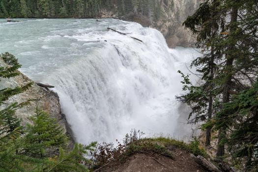 Panoramic image of the Kicking Horse river cascading on the Wapta Falls, Yoho National Park, British Columbia, Canada