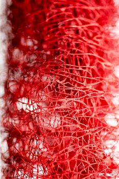 Red flower strange tropical blossom fruit macro background fifty megapixels