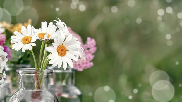 Several small bottles with blooming medicinal herbs, homeopathy or alternative medicine concept.