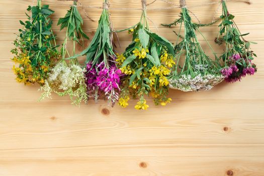 Bundles of medicinal herbs dried near a light wooden wall, alternative medicine and herbal treatment concept, copy space, place for text, background.